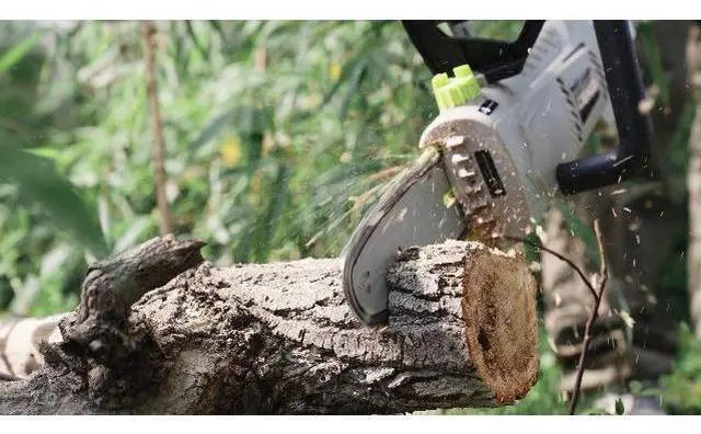 Main image of DEKOPRO 8 Amp 10" Electric Pole Saw for Tree Trimming,Corded Electric Chainsaw,Power Chain Saw for Tree Trimming Wood Cutting