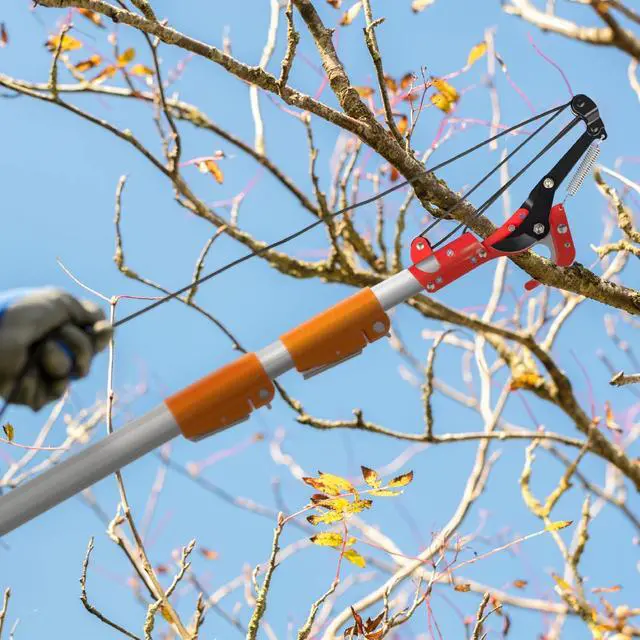 Alt view image 5 of 6 - 12ft Manual Pole Saws, Extendable Tree Trimmers Long Handle Pruner, 2Pcs Sharp Blade and Scissors, Long Tree Pruner with 2-section for Pruning Palms and Shrubs