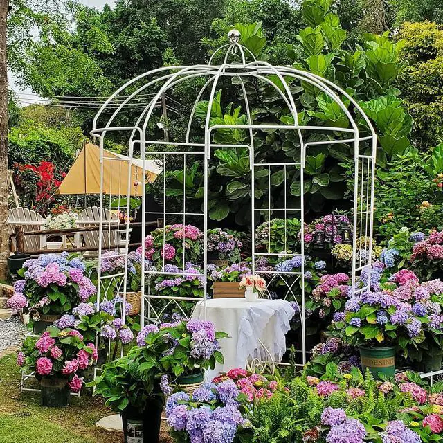 Alt view image 2 of 7 - Birdcage Shape Garden Arches Arbors,9' High x 6.8' Wide,Metal Gazebo White Enduring Iron Trellis Plants Stand Use for Outdoor Garden Climbing Plants Wedding Arches Ceremony