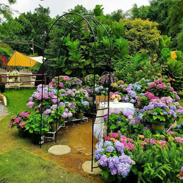 Alt view image 7 of 7 - Metal Garden Arbor Wedding Arch 95.3" H x 45" W, Heavy Duty Rustproof Iron Pergola Trellis for Climbing Plants Outdoor Garden Patio Pathway Lawn Ceremony Party Decoration