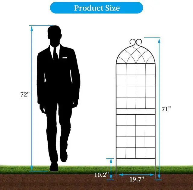 Alt view image 2 of 7 - 1 Pack Garden Trellis 71" H x 19.7" W for Climbing Plants Support Rustproof Metal Iron Rose Trellis for Vines Flower Cucumbers Plant Stand Black