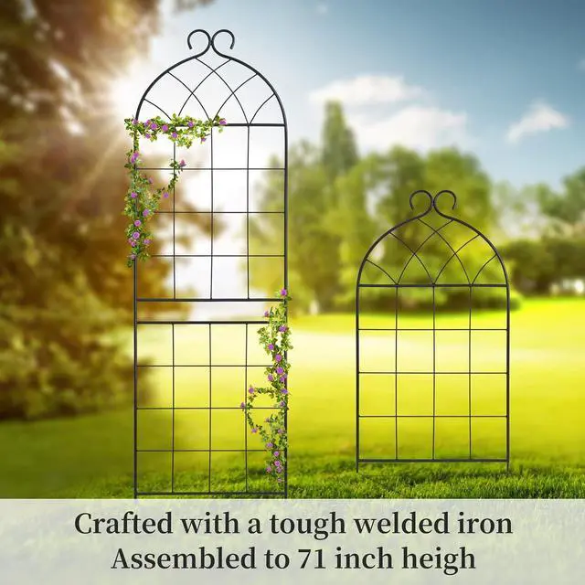 Alt view image 4 of 7 - 1 Pack Garden Trellis 71" H x 19.7" W for Climbing Plants Support Rustproof Metal Iron Rose Trellis for Vines Flower Cucumbers Plant Stand Black