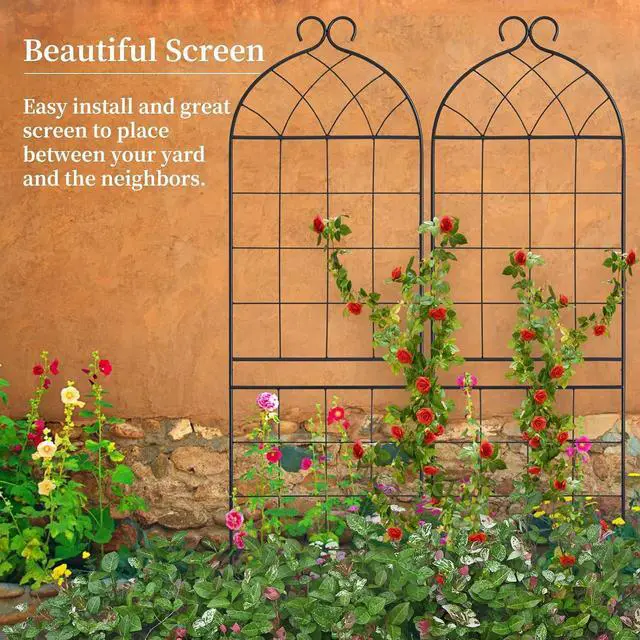 Alt view image 7 of 7 - 1 Pack Garden Trellis 71" H x 19.7" W for Climbing Plants Support Rustproof Metal Iron Rose Trellis for Vines Flower Cucumbers Plant Stand Black