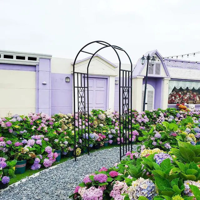 Alt view image 6 of 7 - Metal Pergola Arbor, 100" H x 45" W Garden Arch Archway for Wedding Ceremony Party Curved Iron Plants Trellis Stand Use for Outdoor Garden Climbing Plants
