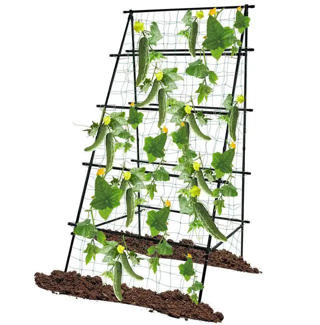 Main image of Cucumber Trellis 69.8" H x 36" W, A Frame Garden Trellis for Raised Bed Climbing Plants Metal+PE Coated Grow Support for Vines, Vegetables