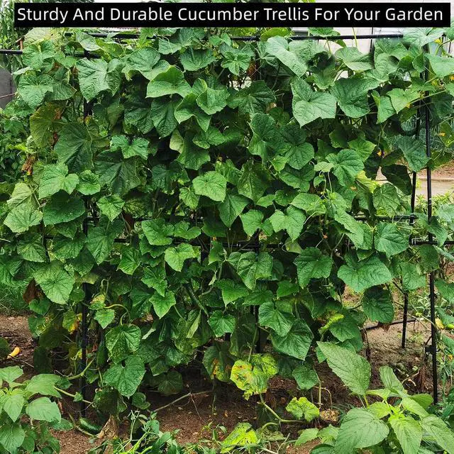 Alt view image 3 of 7 - Cucumber Trellis 69.8" H x 36" W, A Frame Garden Trellis for Raised Bed Climbing Plants Metal+PE Coated Grow Support for Vines, Vegetables