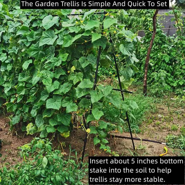 Alt view image 4 of 7 - Cucumber Trellis 69.8" H x 36" W, A Frame Garden Trellis for Raised Bed Climbing Plants Metal+PE Coated Grow Support for Vines, Vegetables