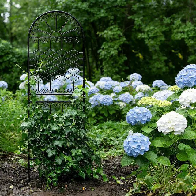 Alt view image 7 of 7 - 70.8" H x 24.5" W Heavy-Duty Iron Garden Trellis, Arched Decorative Plant Support with Scrollwork, Rustproof Metal Trellis for Climbing Roses, Clematis, and Vines, for Lawn 1 Pack