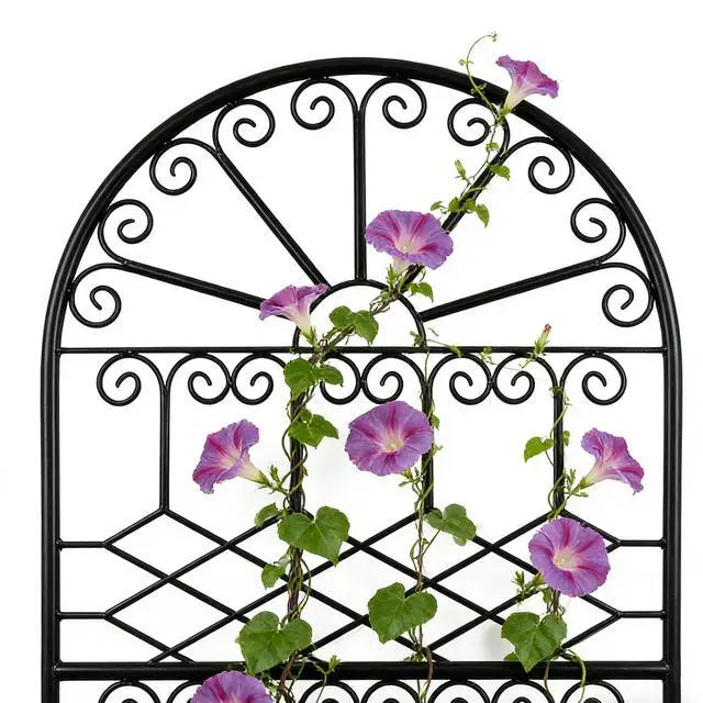 Alt view image 6 of 7 - 82.7" H x 26.7" W Extra-Tall Decorative Metal Garden Trellis, Rustproof Iron Arched Trellis with Scrollwork for Large Climbing Plants, Ideal for Roses, Clematis, and Privacy Screens 1 Pack