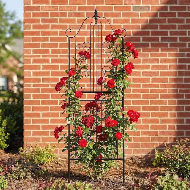 Main image of 1 Pack Trellis for Climbing Plants Outdoor 59" H x 22" W Rustproof Sturdy Garden Trellis Climbing Plant Support Structure for Climbing Cucumber Tomato Rose Vegetable Flower Plant Trellises
