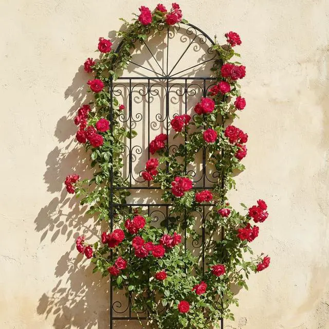 Alt view image 2 of 7 - 1 Pack 82.7" H x 26.7" W Extra Tall Arched Metal Garden Trellis - Heavy-Duty Black Iron Scrollwork Fence for Climbing Vines, Roses, and Ivy - Decorative Privacy Screen for Patio and Backyard