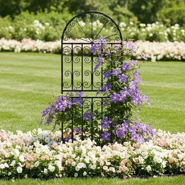 Alt view image 4 of 7 - 59" H x 22" W Arched Metal Garden Trellis with Scrollwork, Rustproof Iron Plant Support for Climbing Roses, Clematis & Vines, Decorative Garden Screen for Lawn & Backyard 1 Pack