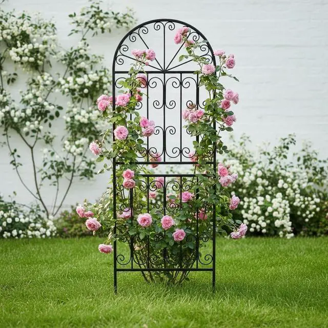 Alt view image 5 of 7 - 70.8" H x 24.5" W Decorative Metal Garden Trellis - Rustproof Black Iron Arched Fence for Climbing Roses, Clematis, and Vines - Sturdy Plant Support for Patio, Lawn, and Backyard 1 Pack