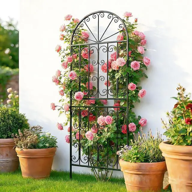 Alt view image 4 of 7 - 70.8" H x 24.5" W Decorative Metal Garden Trellis - Rustproof Black Iron Arched Fence for Climbing Roses, Clematis, and Vines - Sturdy Plant Support for Patio, Lawn, and Backyard 1 Pack