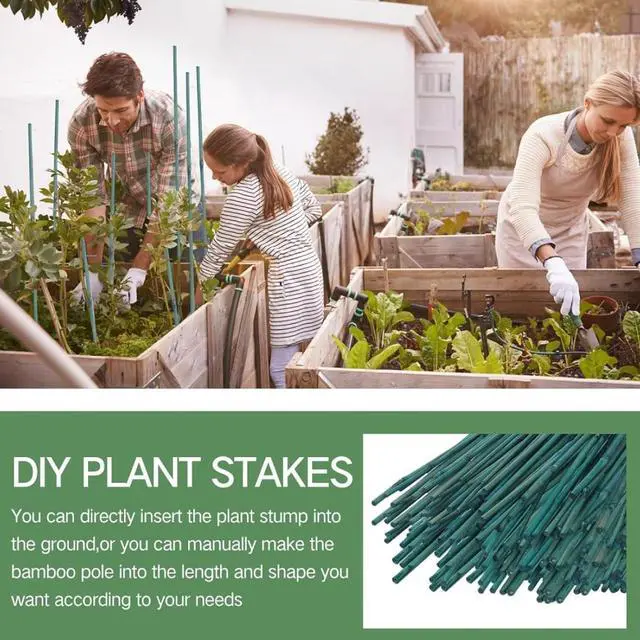 Alt view image 3 of 6 - Green Dyed Garden Stakes with Natural Nodes for Fence Construction, Bamboo Sticks Poles with Thick Cane Structure and Basic Moisture Defense for Climbing Plants (4FT 100PCS)