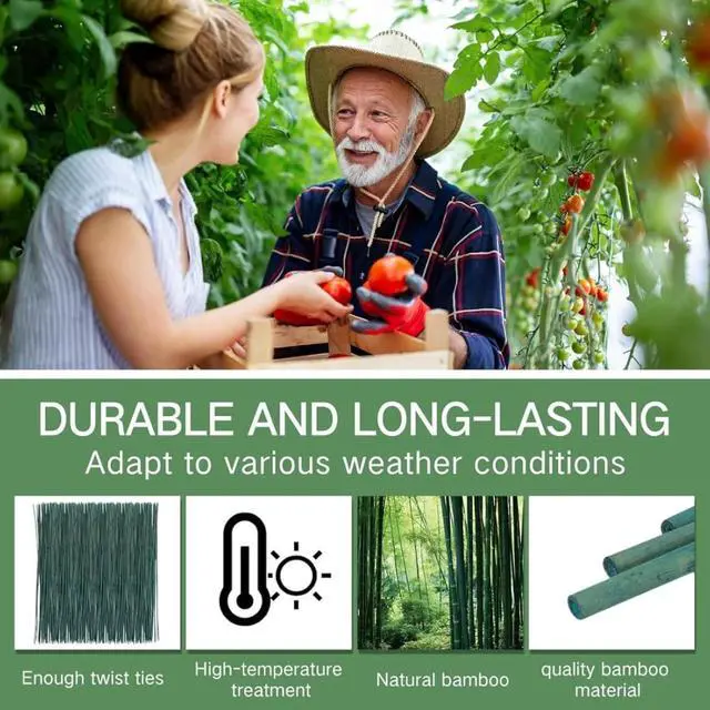 Alt view image 4 of 6 - Green Dyed Garden Stakes with Natural Nodes for Fence Construction, Bamboo Sticks Poles with Thick Cane Structure and Basic Moisture Defense for Climbing Plants (4FT 100PCS)