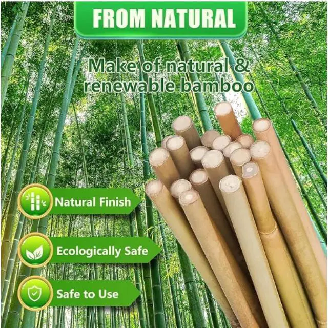 Alt view image 3 of 6 - Durable Garden Stake with Upright Support for Tall Flowers and Vines, Natural Bamboo Plant Bracket with Soil-Stabilizing Design for Indoor and Outdoor Landscaping (5FT 50PCS)