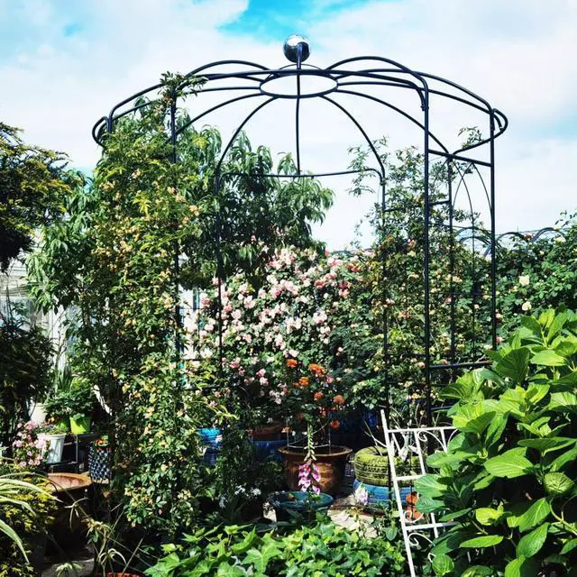 Alt view image 2 of 7 - Spacious Metal Garden Arch with Birdcage Shape for Wedding, Ceremony, Party, Outdoor Pergola Pavilion with Ground Stakes and Iron Frame for Backyard, Lawn, Poolside (Black)