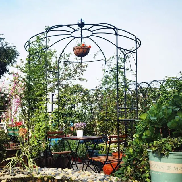 Main image of Spacious Metal Garden Arch with Birdcage Shape for Wedding, Ceremony, Party, Outdoor Pergola Pavilion with Ground Stakes and Iron Frame for Backyard, Lawn, Poolside (Black)