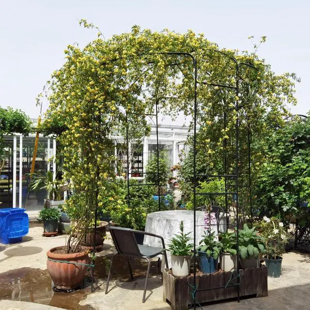 Alt view image 4 of 7 - Spacious Metal Garden Arch with Birdcage Shape for Wedding, Ceremony, Party, Outdoor Pergola Pavilion with Ground Stakes and Iron Frame for Backyard, Lawn, Poolside (Black)