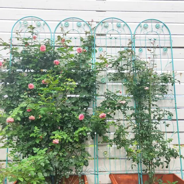 Alt view image 6 of 7 - Metal Grid Panels with Beautiful Flowers Pattern for Climbing Flowers, Plants, Outdoor Metal Trellis with Iron Frame for Backyard, Lawn, Garden, Metal Panels for Ivy Vines, Rose (4 Pack)