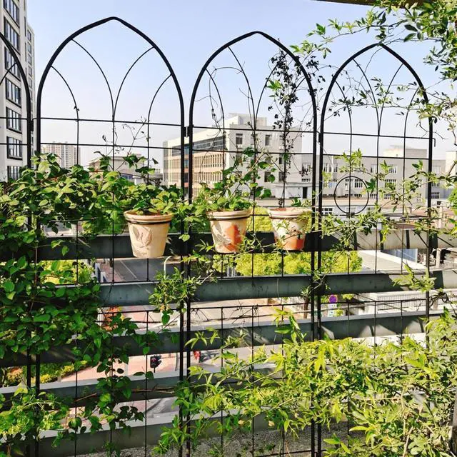 Alt view image 3 of 7 - Metal Garden Trellis with Arched Top and Iron Frame for Growing Flowers, Vegetables, Outdoor Grid Panels Tall Fence Trellis with Metal Galvanized Tube for Backyard, Park (4 Pack)