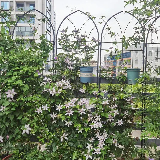 Alt view image 4 of 7 - Metal Garden Trellis with Arched Top and Iron Frame for Growing Flowers, Vegetables, Outdoor Grid Panels Tall Fence Trellis with Metal Galvanized Tube for Backyard, Park (4 Pack)