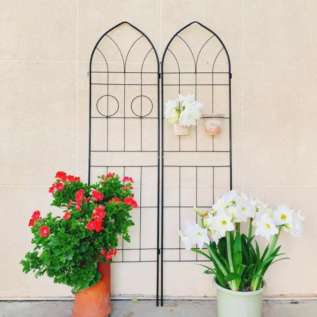 Alt view image 6 of 7 - Metal Garden Trellis with Arched Top and Iron Frame for Growing Flowers, Vegetables, Outdoor Grid Panels Tall Fence Trellis with Metal Galvanized Tube for Backyard, Park (4 Pack)
