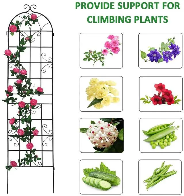 Alt view image 7 of 7 - 4 Pack Metal Garden Trellis with Metal Galvanized Tube for Growing Flowers, Plants, Vines, Outdoor Arched Grid Trellis Panels with Elegant Design for Backyard, Porch (Black)