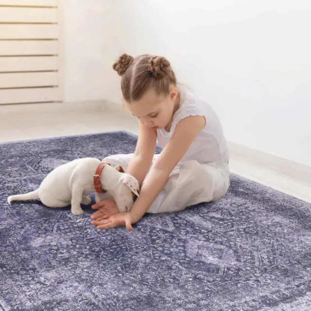 Alt view image 4 of 7 - Stylish Design Machine Washable Versatile Area Rug with Low-Pile Construction, Eco-Friendly Super-Soft Area Rugs for Seamless Placement Underneath Furniture or in Entryway (5x8)