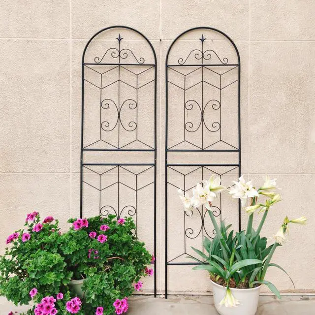 Alt view image 7 of 7 - Metal Garden Trellis with Iron Frame for Growing Fruits, Vegetables, Plants, Outdoor Rustproof Trellis with Metal Galvanized Tube for Backyard, Lawn, Garden (4 Pack-H71'')