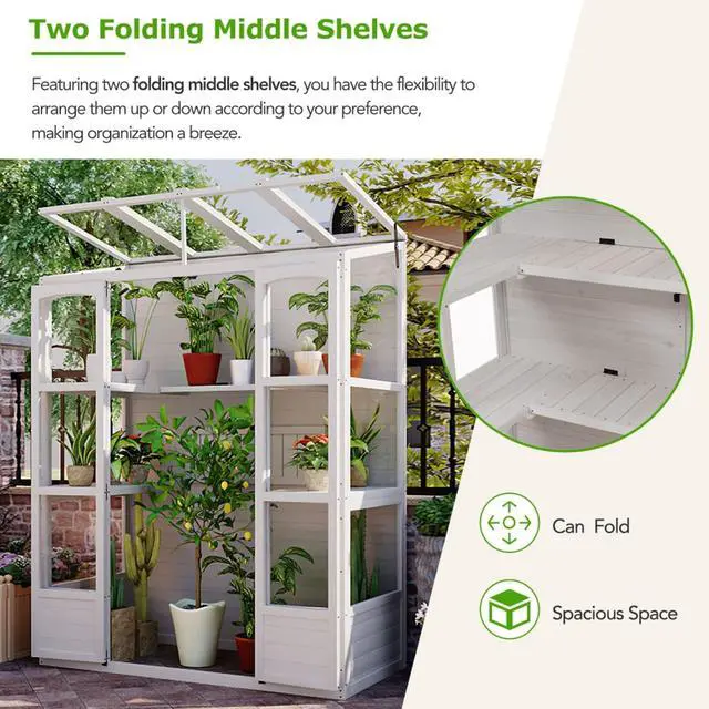 Alt view image 4 of 7 - Wooden Greenhouse with 4 Independent Skylights and 2 Folding Middle Shelves for Lawn, Outdoor Walk-in Green House with Four Metal Brackets At Bottom for Growing Flowers, Plants (White)