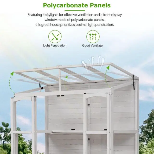 Alt view image 5 of 7 - Wooden Greenhouse with 4 Independent Skylights and 2 Folding Middle Shelves for Lawn, Outdoor Walk-in Green House with Four Metal Brackets At Bottom for Growing Flowers, Plants (White)