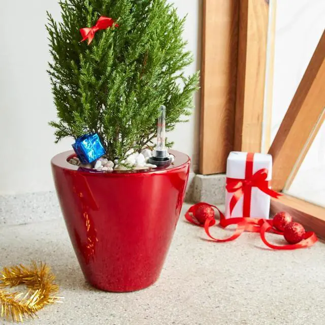 Main image of 2 Pieces Plastic Planter Set with Self-Watering System and Wood-Like Look for Backyard, Living Room, Outdoor Flower Pots with Drainage Hole and Stopper for Growing Flowers (Red)