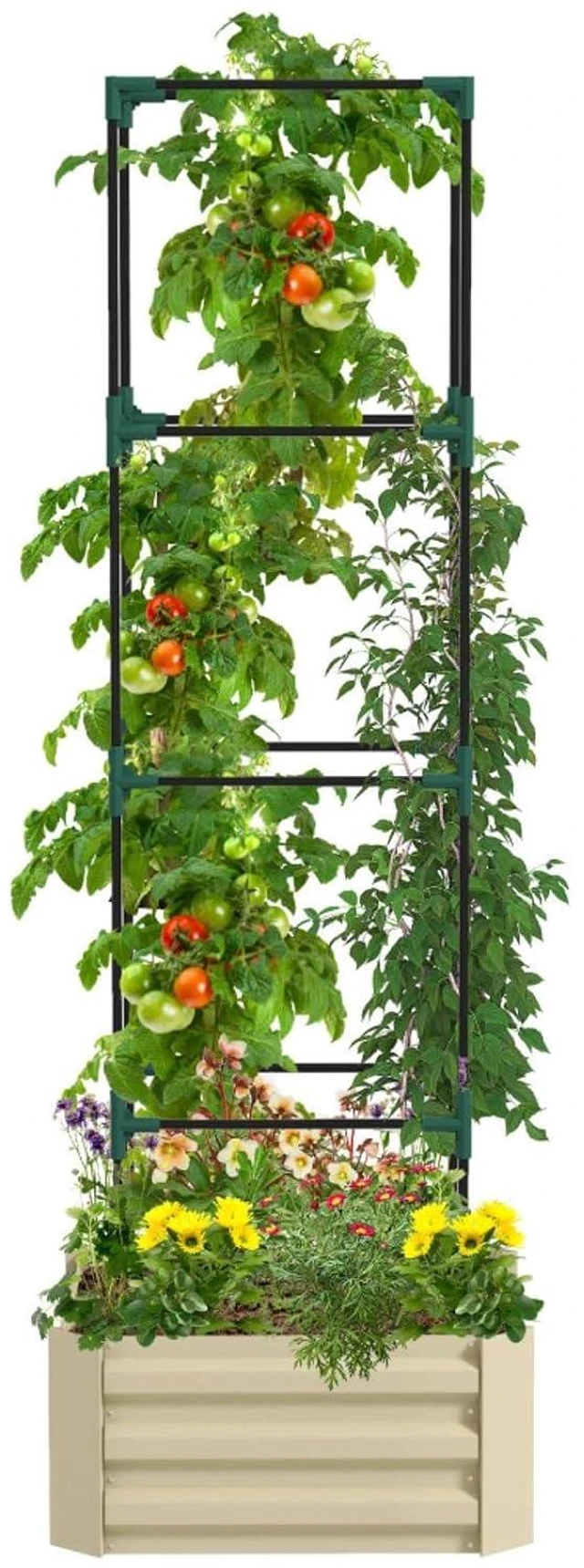 Alt view image 2 of 7 - Hassyee Galvanized Raised Garden Bed with Trellis and Open Bottom Design for Growing Flowers, Plants, Outdoor Metal Planter Box with Flat Edging Design for Backyard, Park, Lawn