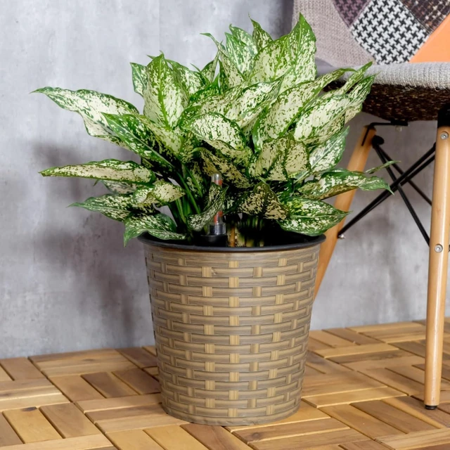 Alt view image 2 of 7 - Hassyee Wicker Decor Planter with Self-Watering System and Lightweight Structure for Backyard, Lawn, Outdoor Flower Pot with Bottom Plug for Growing Flowers, Plants