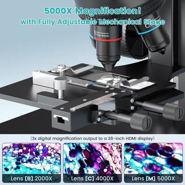 Alt view image 2 of 6 - LM266S 5 Lens 7" HDMI Digital Microscope 5000X for Adults, Lab Digital Biological Microscope with Screen for Slides, Mechanical X-Y Stage, UHD 2160P Video, LCD Full View Coin Camera, PC View, 32GB