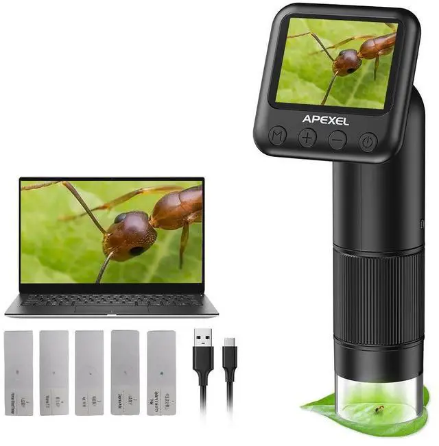 Main image of 800X Handheld Digital Microscope with 2 LCD Screen, Pocket Portable Microscope for Kids with Adjustable LED Lights, Coins Microscopes Magnifier Camera, USB to PC (SD Card Not Included)