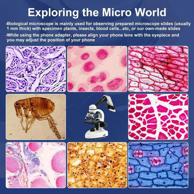 Alt view image 5 of 6 - Microscope for Adults Kids Students, 100X-2000X Microscopes, Metal-Body Dual LED Illumination, Biological Compound Monocular Microscope Kit for School Lab, Homeschool w/Phone Adapter