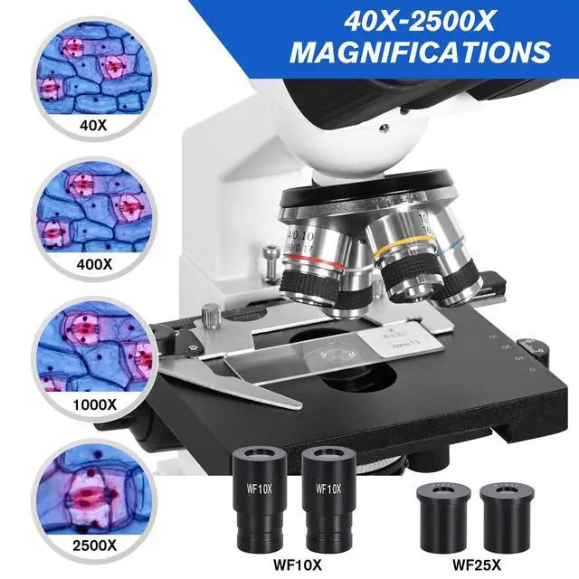 Alt view image 5 of 6 - 40x-2500x Compound Binocular Microscope for Adults Professional,microscopes for Student Educate,Biological Microscope LAB Micro Scope microscopio 1000x 400X
