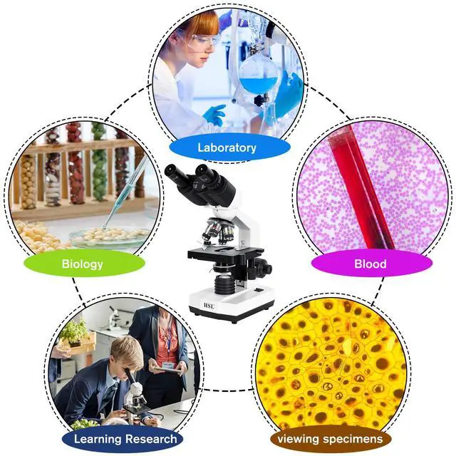 Alt view image 6 of 6 - 40x-2500x Compound Binocular Microscope for Adults Professional,microscopes for Student Educate,Biological Microscope LAB Micro Scope microscopio 1000x 400X