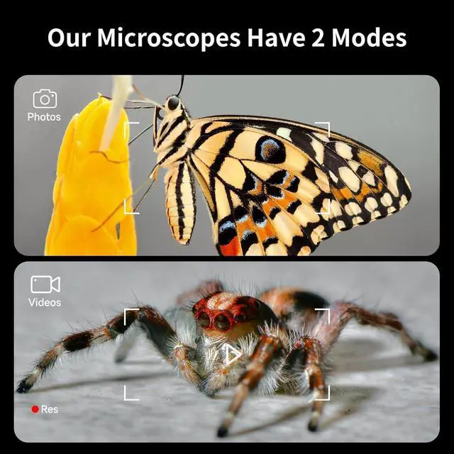 Alt view image 4 of 6 - 4'' IPS Handheld Pocket Digital Microscope with 100-1600X Screen, 1080P HD Portable Microscope with 8 Adjustable LED Lights