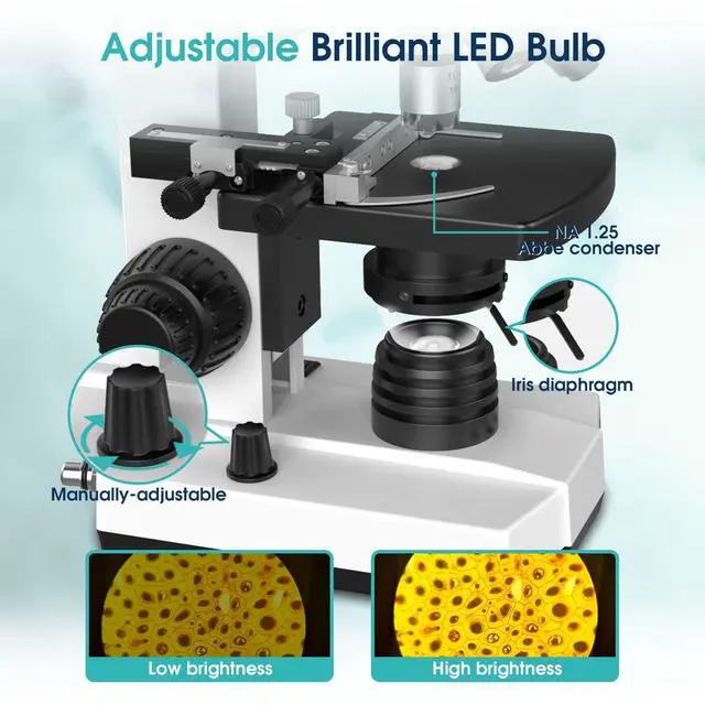 Alt view image 5 of 6 - Microscope for Adults with 40X-2500X Magnification, Dual-View Research-Grade Compound Monocular Microscopes with 7'' LCD Screen, Wide-Field 10X 25X Eyepiece, Built in 5MP Camera, Dual Illumination