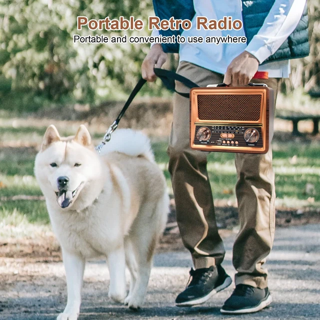 Alt view image 7 of 7 - Retro Vintage Portable AM FM SW Radio with Best Sound, DC 5V, 1200mAh Rechargeable Battery Operated Bluetooth Radio with Best Reception, Loud Speaker Support TF Card/USB Playing