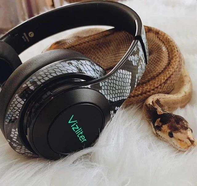 Alt view image 5 of 6 - Bluetooth Headphones, TWS Deep Bass Wireless Over-Ear Headset 5.0 with Built-in Mic LED Lights, Noise Cancelling Audio Earphones (Snake)
