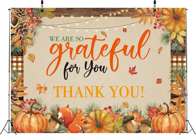 Alt view image 5 of 7 - Fall Thank You Backdrop Thanksgiving We are So Grateful for You Background 8x6ft Fall Thank You for All You Do Banner, Pumpkin Friendsgiving Party Decorations, Thanksgiving Photo Booth Props