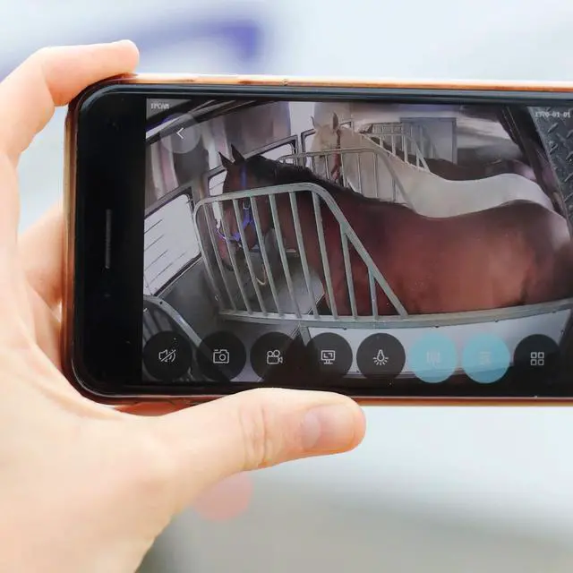 Alt view image 2 of 4 - Equine Eye Voyager - Wireless Horse Trailer Camera Live Video to Your Mobile with Night Vision, Audio - 8 Hours Battery Life - No Cell Signal Needed - Compatible with iPhone & Android Devices