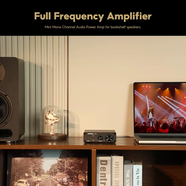 Alt view image 7 of 7 - TPA3255 Mono Subwoofer Amp & Full-Frequency Switchable 300W FLAT & SUB Bass Modes,Passive Speaker & Active Sub Outputs.Class D Amplifier for TV, PC & Home Theater,DC36V Adapter