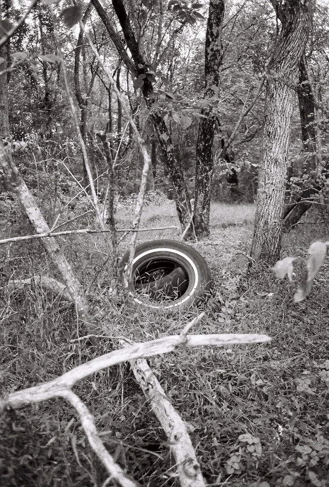 Alt view image 7 of 7 - Fine Grain Nuance ISO100 35 mm Film for Daylight Landscapes, Black and White 35mm, Scan Friendly Enlargements, Tripod Friendly Detail, DX 24x36mm, 36EXP - 6Pack