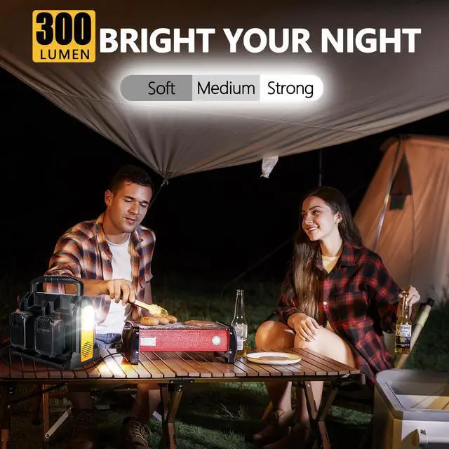 Alt view image 5 of 6 - 350W Portable Power Supply Inverter Compatible with Dewalt 20V Li-ion Battery, 4 Port Pure Sine Wave Inverter DC 20V to AC 120V with AC Output, USB Port, Type-C Port, 300LM LED Light Emergency